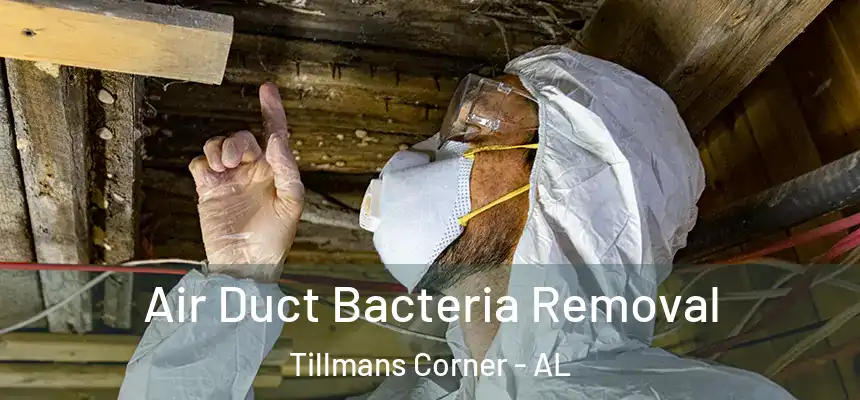  Air Duct Bacteria Removal Tillmans Corner - AL