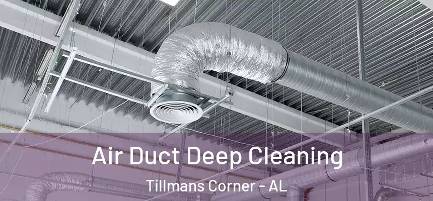  Air Duct Deep Cleaning Tillmans Corner - AL