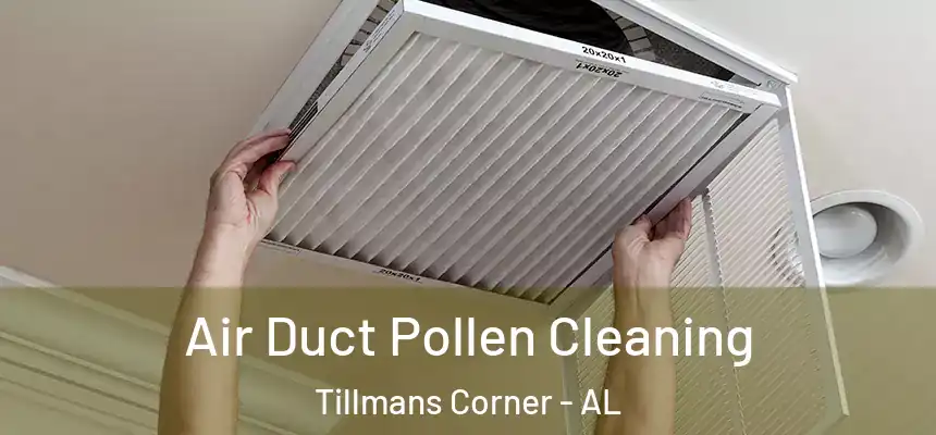  Air Duct Pollen Cleaning Tillmans Corner - AL