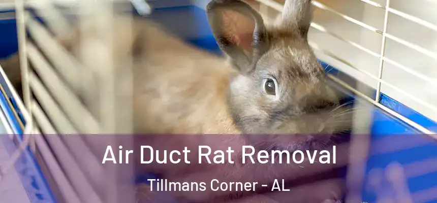  Air Duct Rat Removal Tillmans Corner - AL