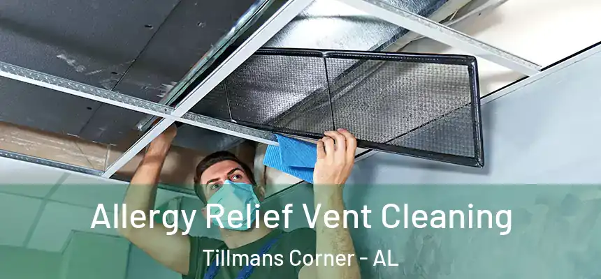  Allergy Relief Vent Cleaning Tillmans Corner - AL