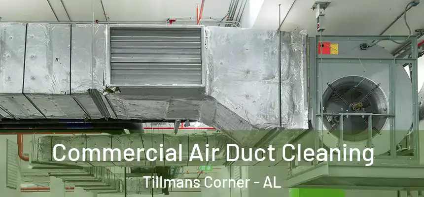  Commercial Air Duct Cleaning Tillmans Corner - AL