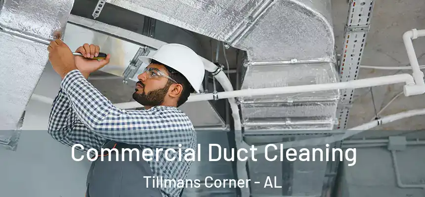  Commercial Duct Cleaning Tillmans Corner - AL