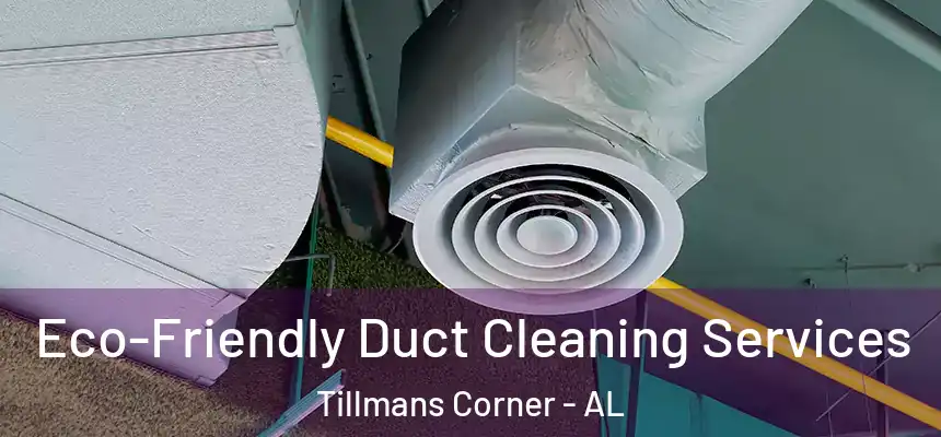  Eco-Friendly Duct Cleaning Services Tillmans Corner - AL