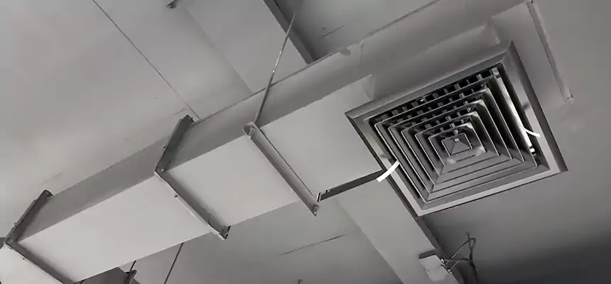 Our Rodent Droppings In Vents Services in Tillmans Corner, AL