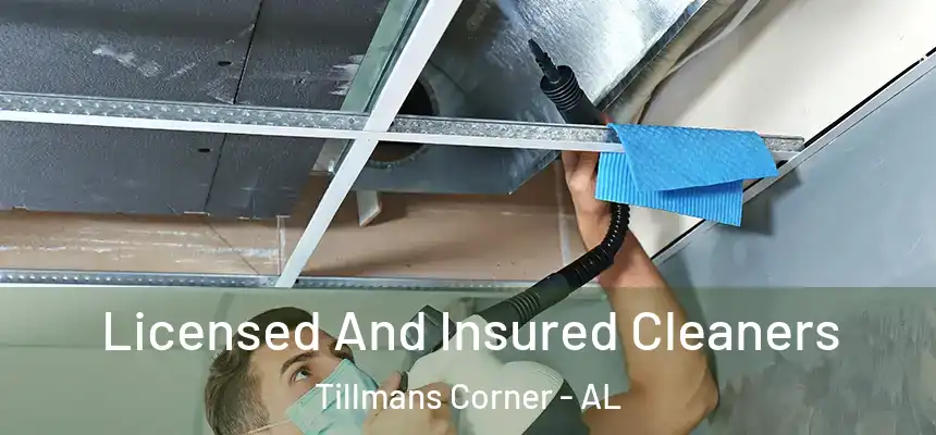  Licensed And Insured Cleaners Tillmans Corner - AL