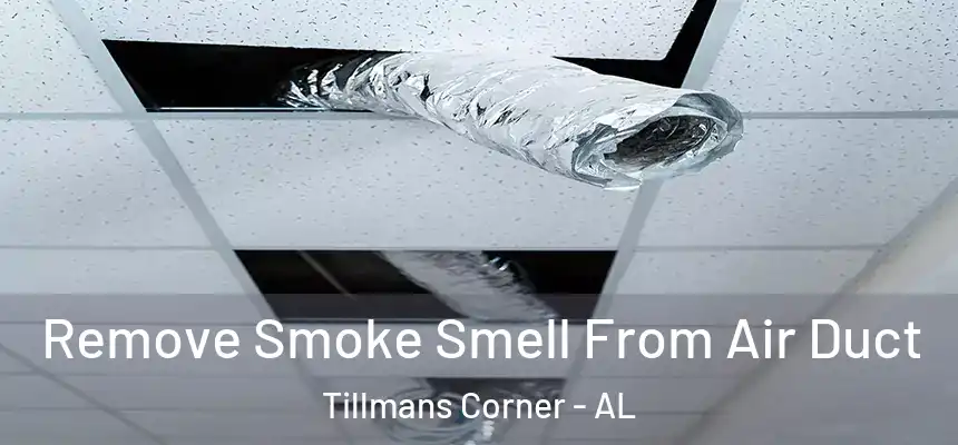  Remove Smoke Smell From Air Duct Tillmans Corner - AL