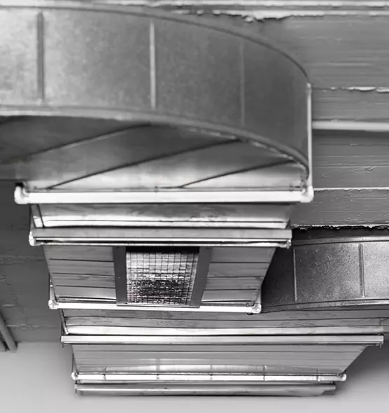 Professional Air Duct Pest Removal in Tillmans Corner, AL