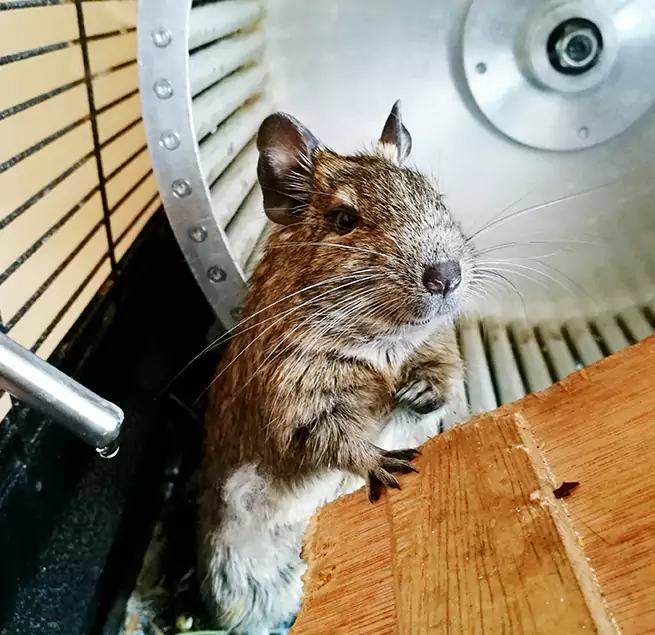 Why Homeowners & Businesses Trust Us Tillmans Corner, AL